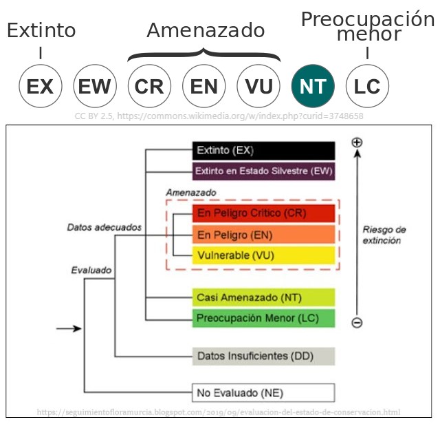 En peligro Serpiente cantil