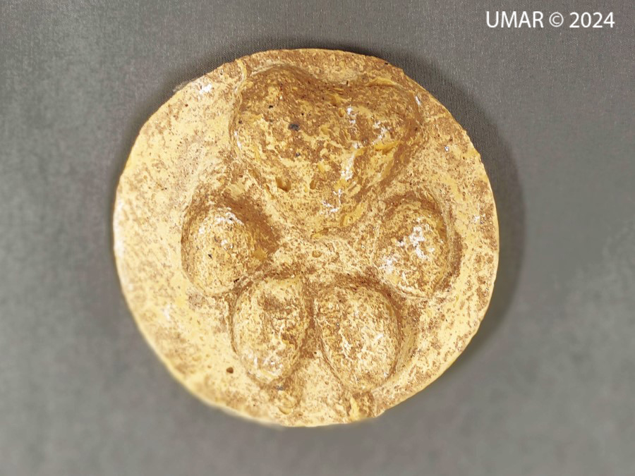 Especie en colección