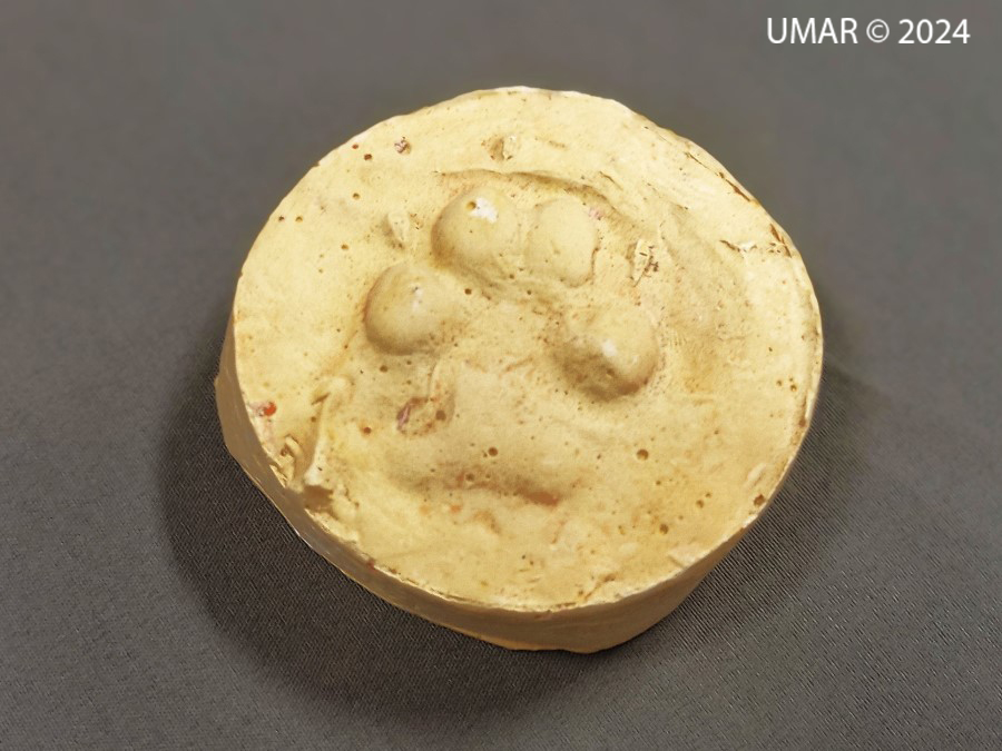 Especie en colección