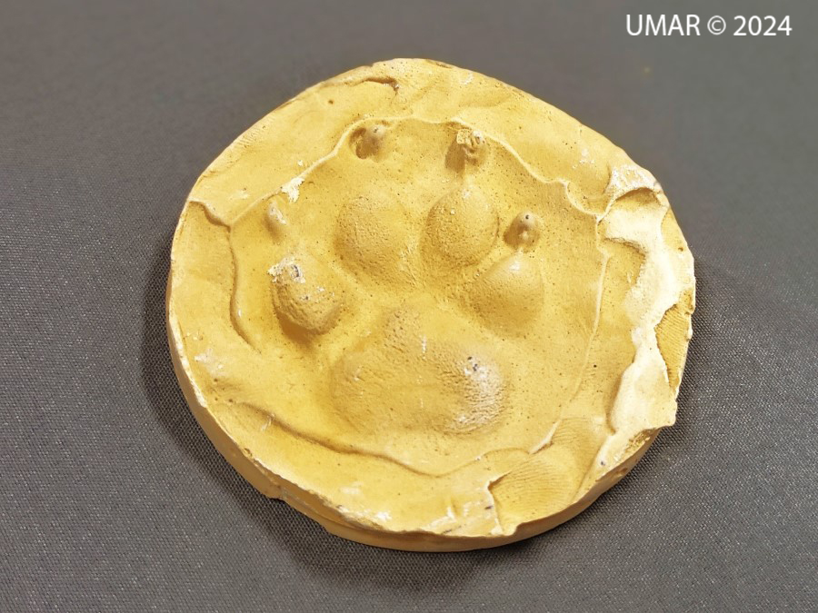 Especie en colección