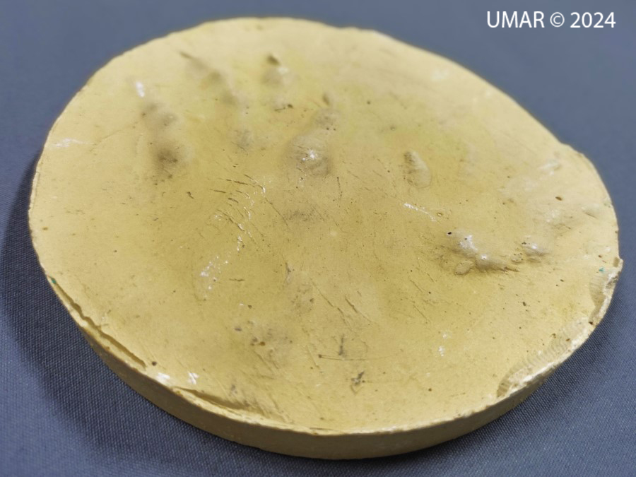 Especie en colección