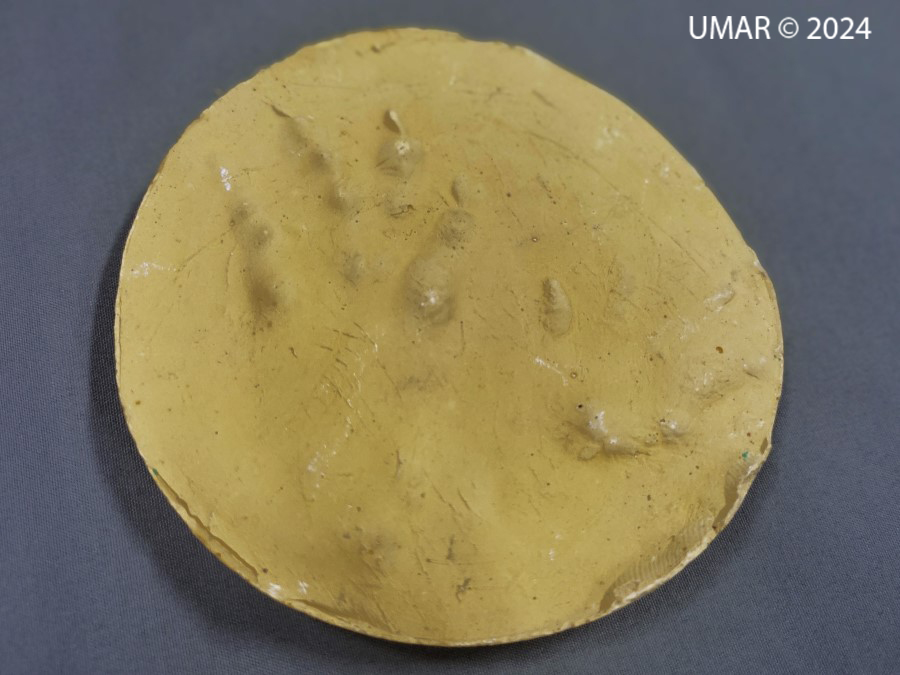 Especie en colección