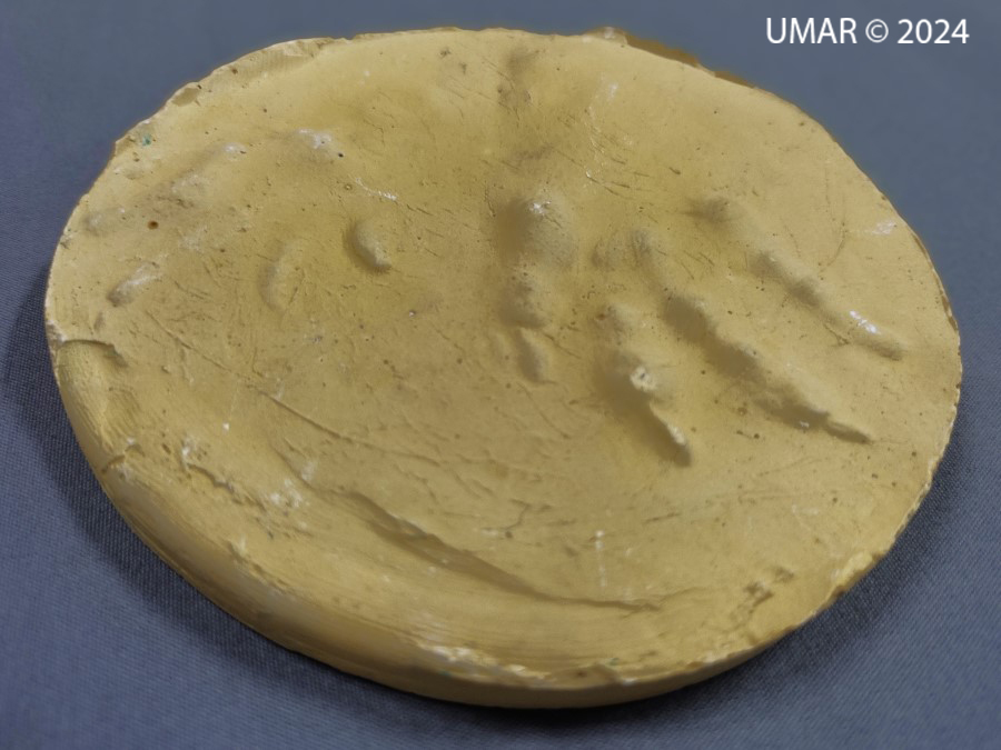 Especie en colección