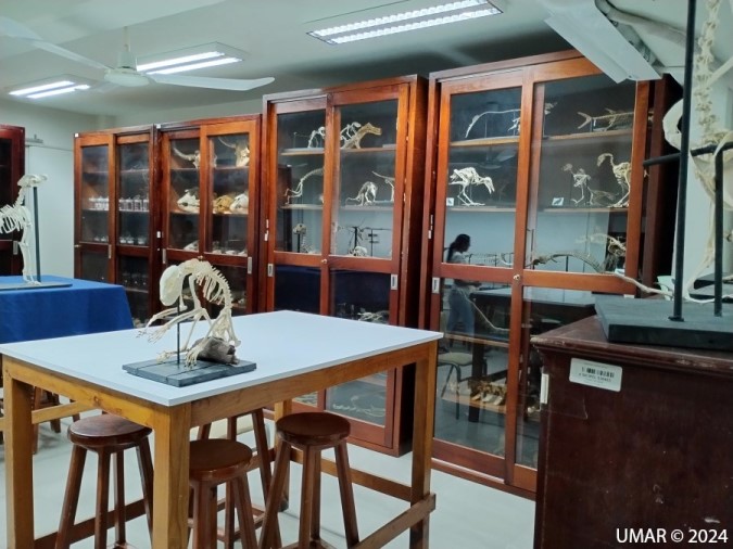 Laboratorio de Colecciones Biológicas